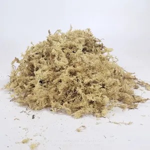 Natural Dried Sphagaum Moss Garden Supplies Moisturizing Nutrition Organic Fertilizer For Butterfly Orchid Flowerpot Decoration thumbnail-1