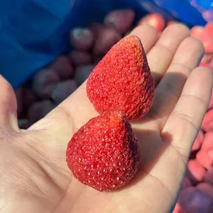 Pure Nature Organic Freeze Dried Strawberry thumbnail-1