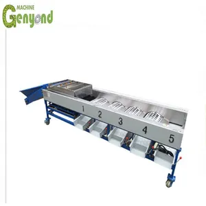Fresh Fruit Apple Orange Size Sorting Tomato Sorting Machine thumbnail-6