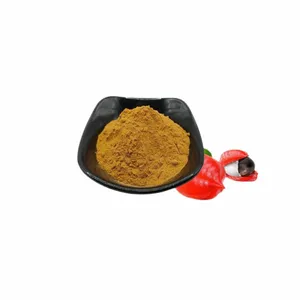 Guarana Extract Manufacturer, Nutritional Fortifier, Guarana Powder thumbnail-2