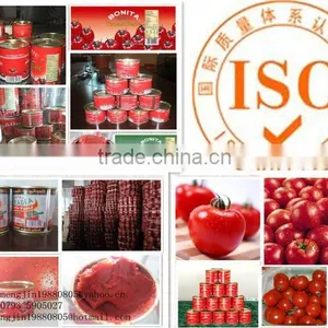 425G COLD BREAK CANNEDTOMATO PASTE AND TOMATO SAUCE thumbnail-1