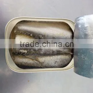 High Quality Canned Sardines in Brine thumbnail-1