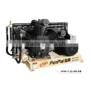 Fenpai 40 Bar Air Compressor China thumbnail-1