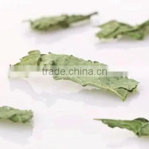 Hot Selling China Herb in Bulk Cold Resistance Herbal Tea Dried Mint Leaves Slimming Herbs thumbnail-4