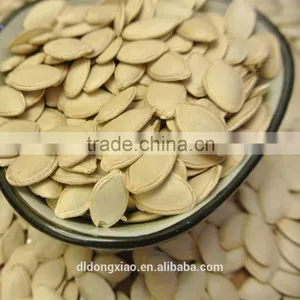 China Shine Skin Pumpkin Seeds thumbnail-2