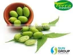 Raw and Pure Neem Oil thumbnail-6