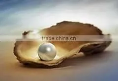 Genuine Pearl Powder thumbnail-1