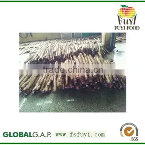 Wild Yam thumbnail-1