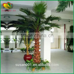 Customized Palm Tree Hand-made Artificial Palm Tree With Fiberglass thumbnail-3