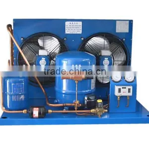 10HP MTZ125 R404a Air Cooled Cold Room Condensing Unit thumbnail-1