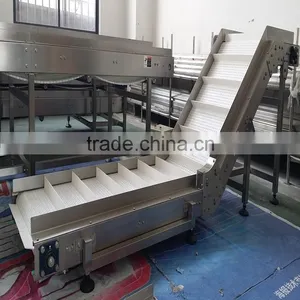 PP Conveyor Belt Conveyor thumbnail-1