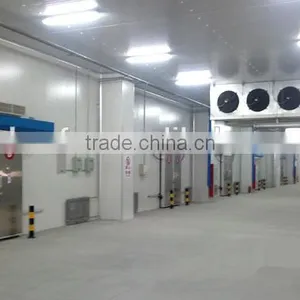 -20 Cold Room for Vaccine and Medicines / Refrigerator Cold Room / Frozen Cold Room thumbnail-3
