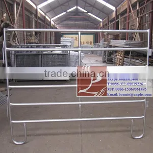 Cheap Galvanized Fence Prefab House(factory & Trader) thumbnail-1