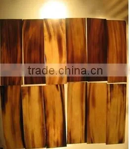 SIXTH SENSE Real Water Buffalo Horn Plates thumbnail-2