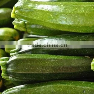 Zucchini thumbnail-4