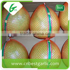 Citrus Fruit Fresh Honey Pomelo Price thumbnail-4