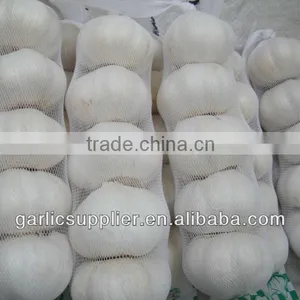 PURE WHITE GARLIC NEW CROP thumbnail-5