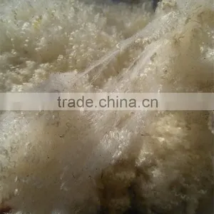 Greasy Wool in Stock High Yiled thumbnail-1