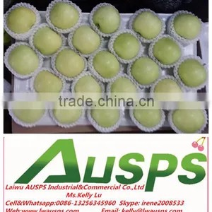 Chinese Fresh Golden Apple thumbnail-1