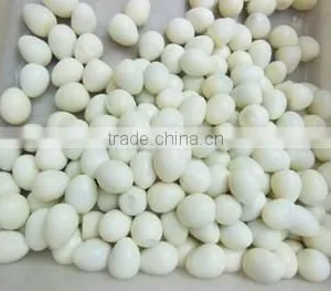 Egg Breaking Machine / Egg Shell Peeling Machine / Egg Husk Removing Machine thumbnail-6