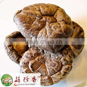 Export Price For Dried Organic Shiitake Mushroom 1kg thumbnail-2