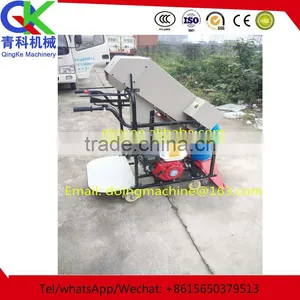 2016 Best Selling Rice Bagging Machine From China thumbnail-1