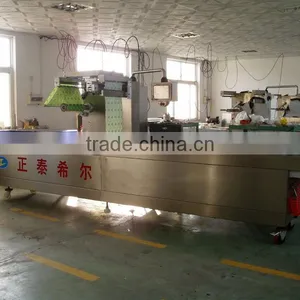 Automatic Continuous Vacuum Packaging Machine thumbnail-1