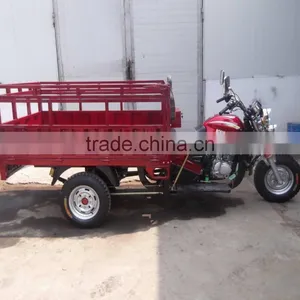 Tricycle 3 Wheel Motorcycle thumbnail-2