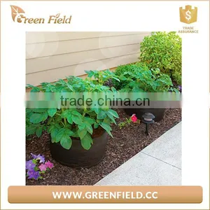 Wholesale Vegetable Felt Planter Bag Felt Potato/Carrot Planter Pots thumbnail-5