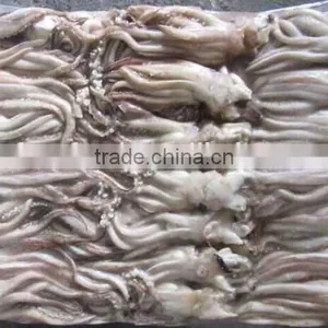 BQF Calamari Squid Tentacles thumbnail-1