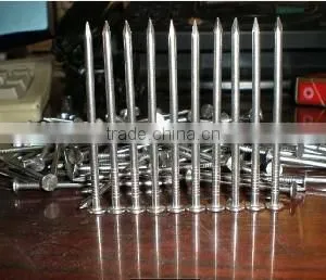 Stainless Steel Headless Nails thumbnail-6