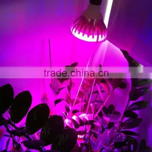 1pcs for Sale Grow Led Light E27 Indoor 7W 6 Red 1 Blue Hydroponic Grow Led Lamp for Flower Growth Vegetable Greenhouse thumbnail-1