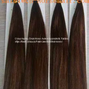 Horse Hair thumbnail-5
