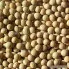 Sell Soybeans thumbnail-1