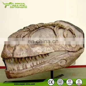 Museum Display Simulation Life Size Dinosaur Head Bone thumbnail-1