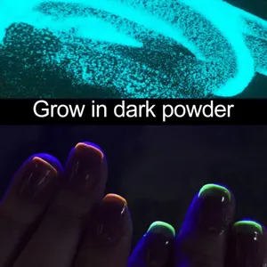 Fantastic Natural Look Acrylic Nails Dip Private Label Nail Dipping Powder Glow in Dark Dip Powder thumbnail-5