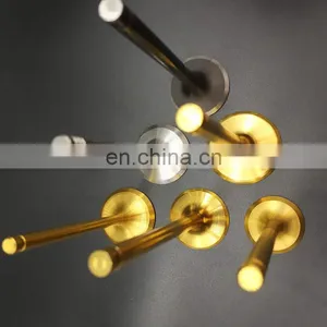Motorcycle Accessories and Spare Parts Titanium Exhaust Engine Valve for Husqvarna Tcsmr TE Txc Te501 125 250 310 450 510 thumbnail-2