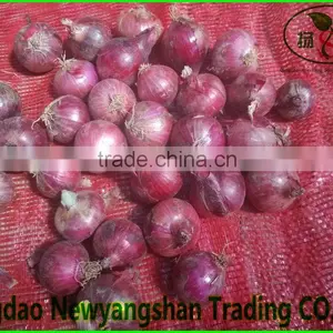 Little Red Onion Exports Southeast Asia/dubai/Fresh Onions thumbnail-1