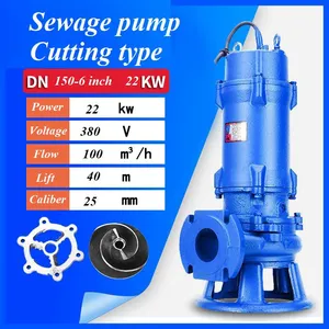 Sewage Pump thumbnail-2