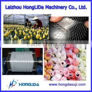 China Top Quality SW-45 AUTO Garlic Net Bag Extruder thumbnail-2