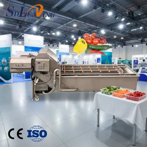 High Capacity Industrial Stainless Steel Vegetables and Fruit Washing Machine Commercial Air Bubble Vegetable Cleaning Line thumbnail-1