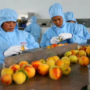 Professional Full Automatic Turnkey Project Canned Fruit Production Line thumbnail-4