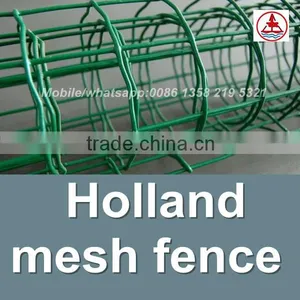 China Factory Cheap Price Rubber Coated Welded Wire Mesh thumbnail-3