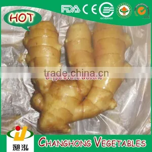 Fresh Ginger With 9kg/PVC Carton thumbnail-1