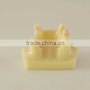Dental Teaching Model,Human Dental Teaching Models,Dental Implant Model thumbnail-3