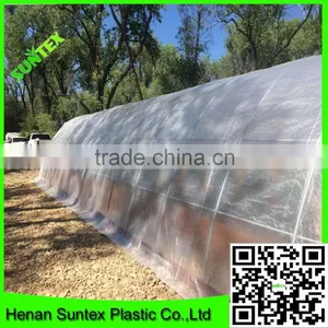 100% Virgin With UV Treated Fruit Protection Cover/woven Transparent pe Tarpaulin Quality Choice thumbnail-5
