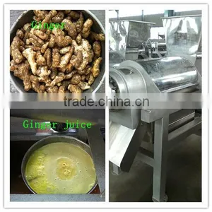 Fruit Juicer thumbnail-4