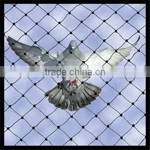 UV Stabilized for Antibird Nets | Antibird Protection thumbnail-4