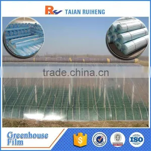 Professional Factory Greenhouse Plastic Film, PE Greenhouse Plastic thumbnail-4