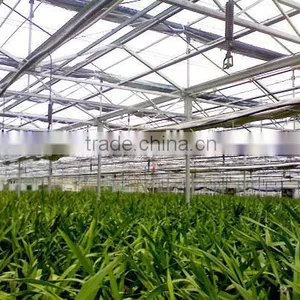 Hanging Type Sprinkling Irrigation for Greenhouse thumbnail-1